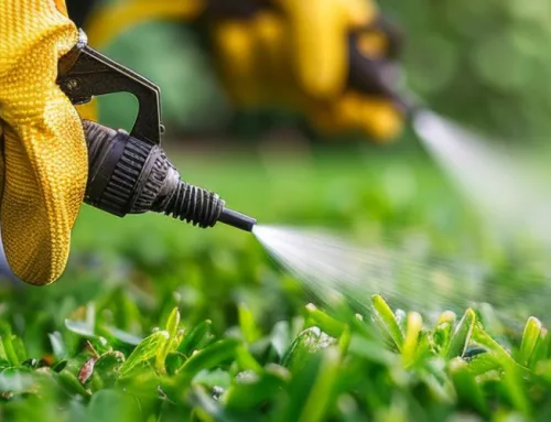 The Complete Guide to Springtime Lawn Maintenance: Overcome Insects and Weeds!