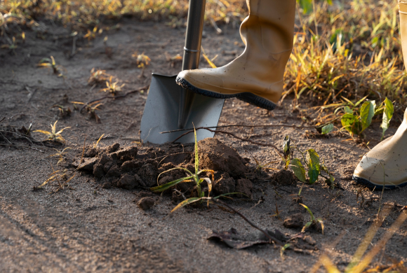 acs-fertilizing-and-mulching