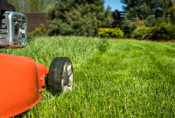 acs-detail-lawn-mowing